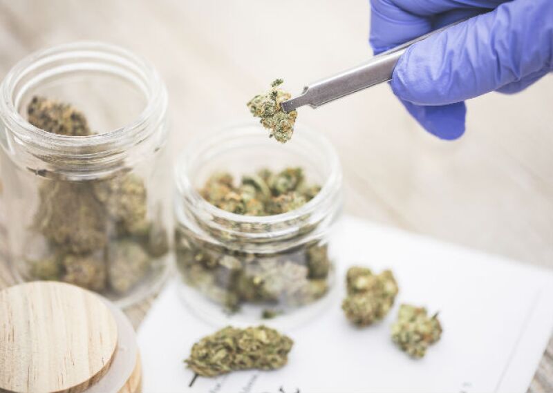 marihuana seca