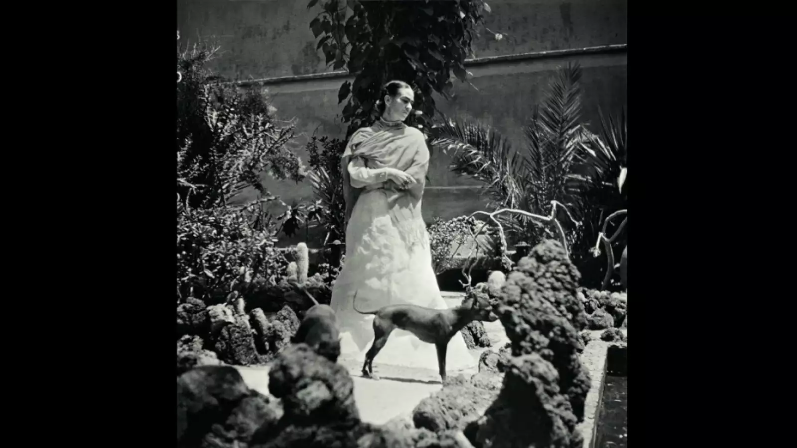 frida kahlo
