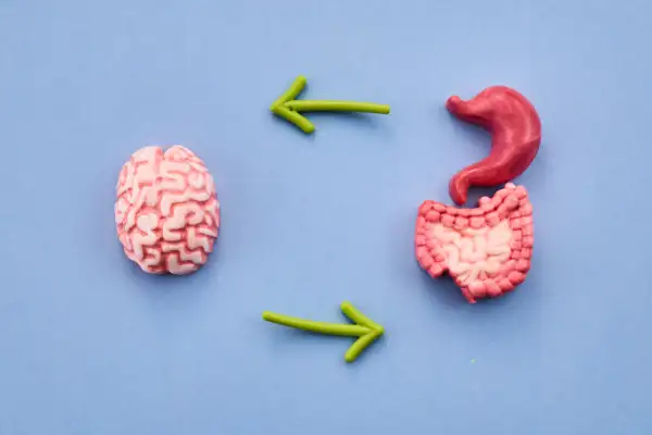 lo importante de cuidar su flora intestinal.png