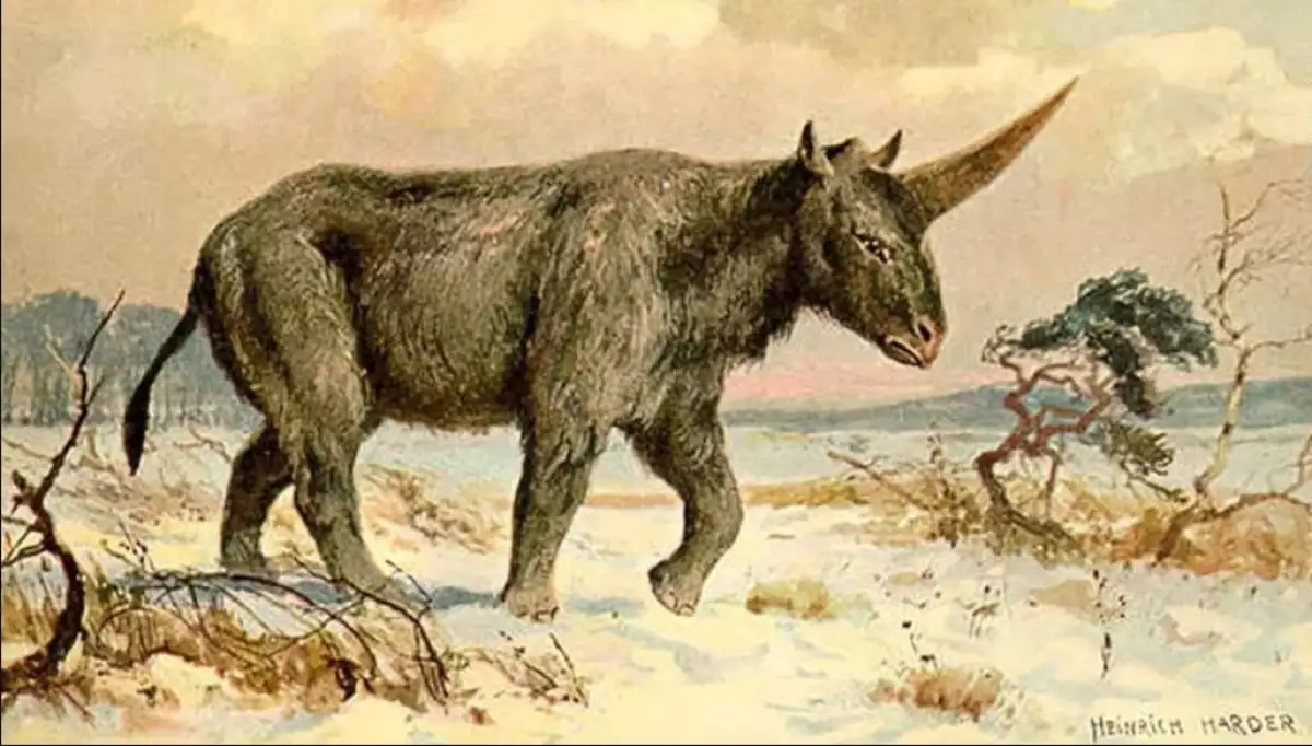 Elasmotherium sibiricum