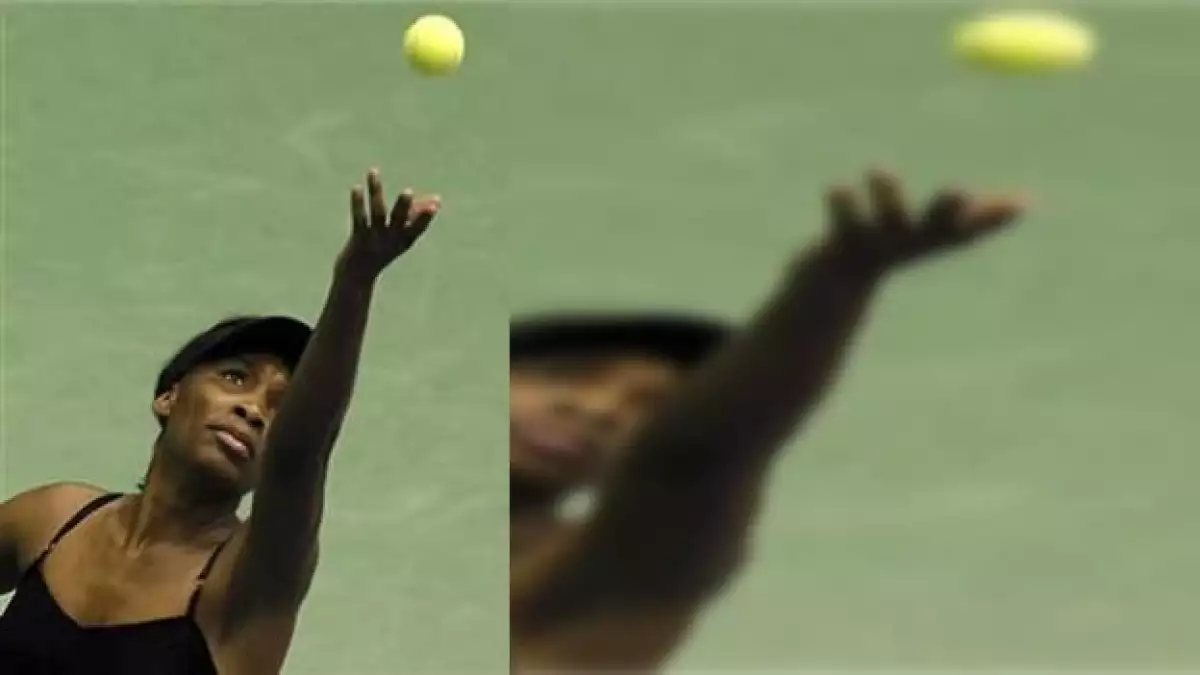 williams en su encuentro con flavia pennetta