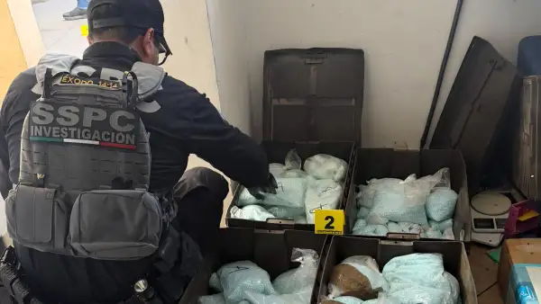 'Los Rusos' son vinculados al tráfico de droga en Mexicali, específicamente en la frontera con Estados Unidos. 