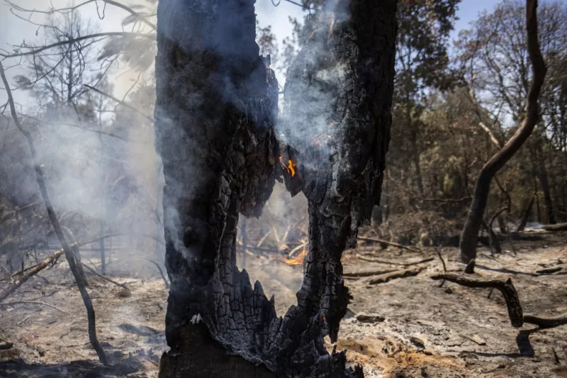 México registra más de 100 incendios activos