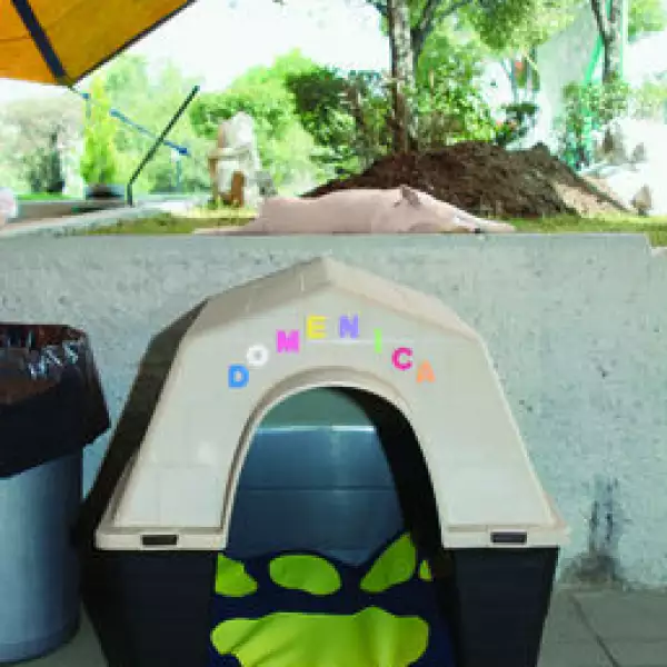 Casa de Domenica, mascota de Jorge Emilio González