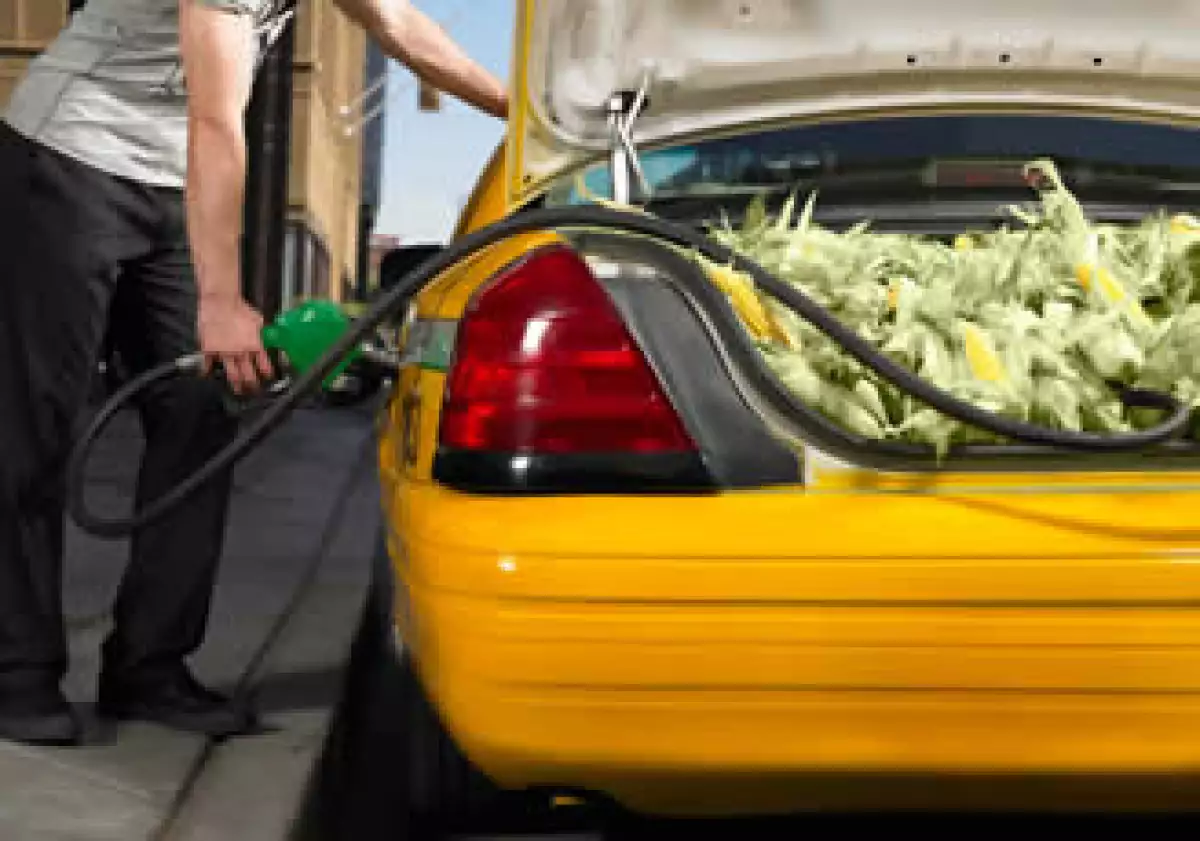 Las importaciones de aceites vegetales de la UE pueden duplicarse con creces a 20 millones de toneladas en el 2020. (Foto: Jupiter Images)