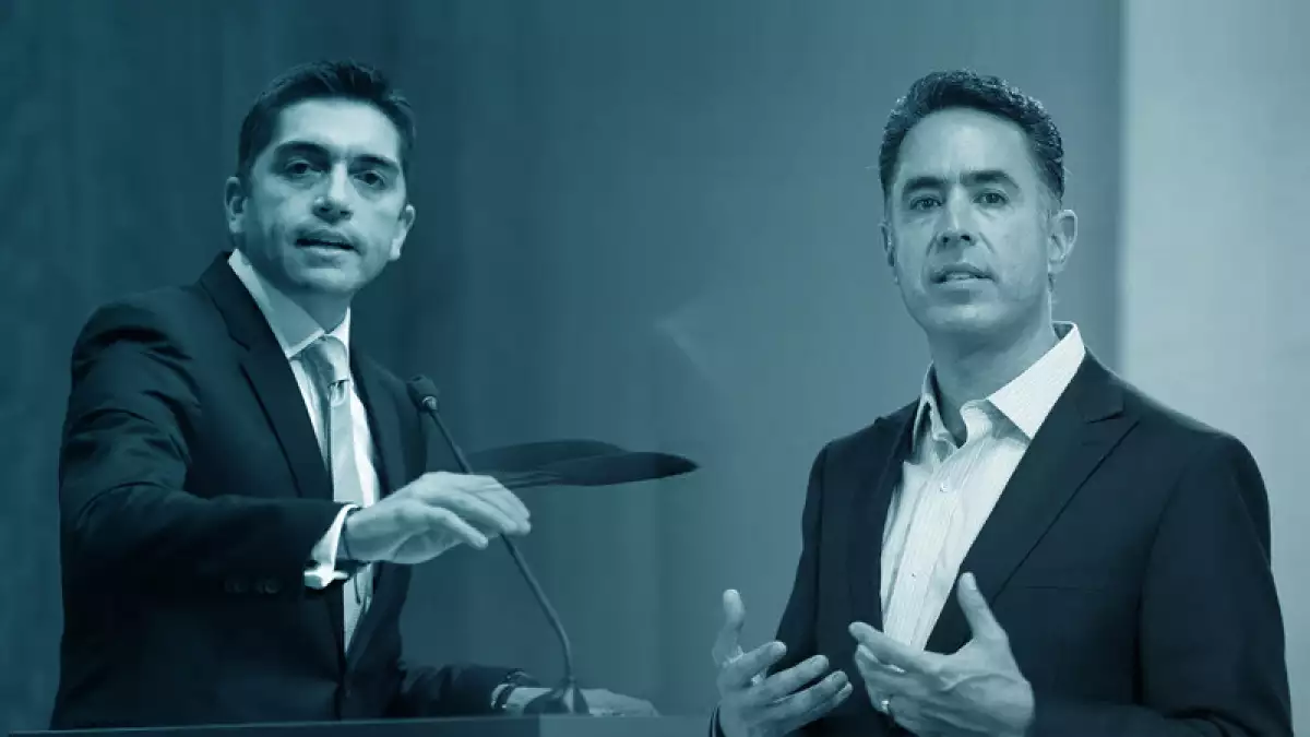 'Gallos' azules
