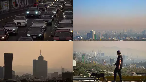 hoy no circula deja fuera de circulacion pocos autos.jpg