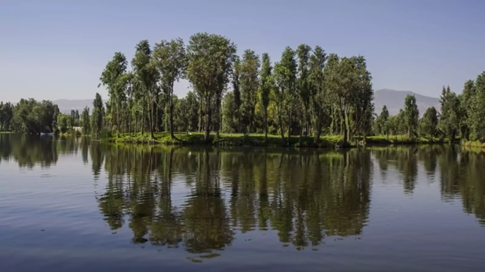 SIEMBRA, AGUA, CANALES, PAISAJE, AGUA, 