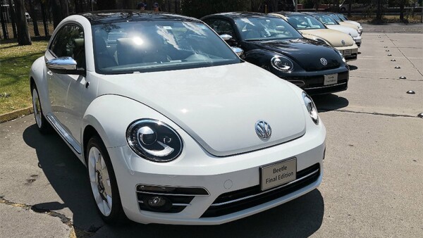 Beetle