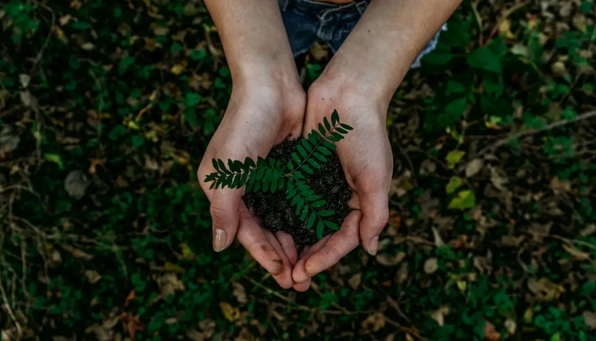 Día del reciclaje