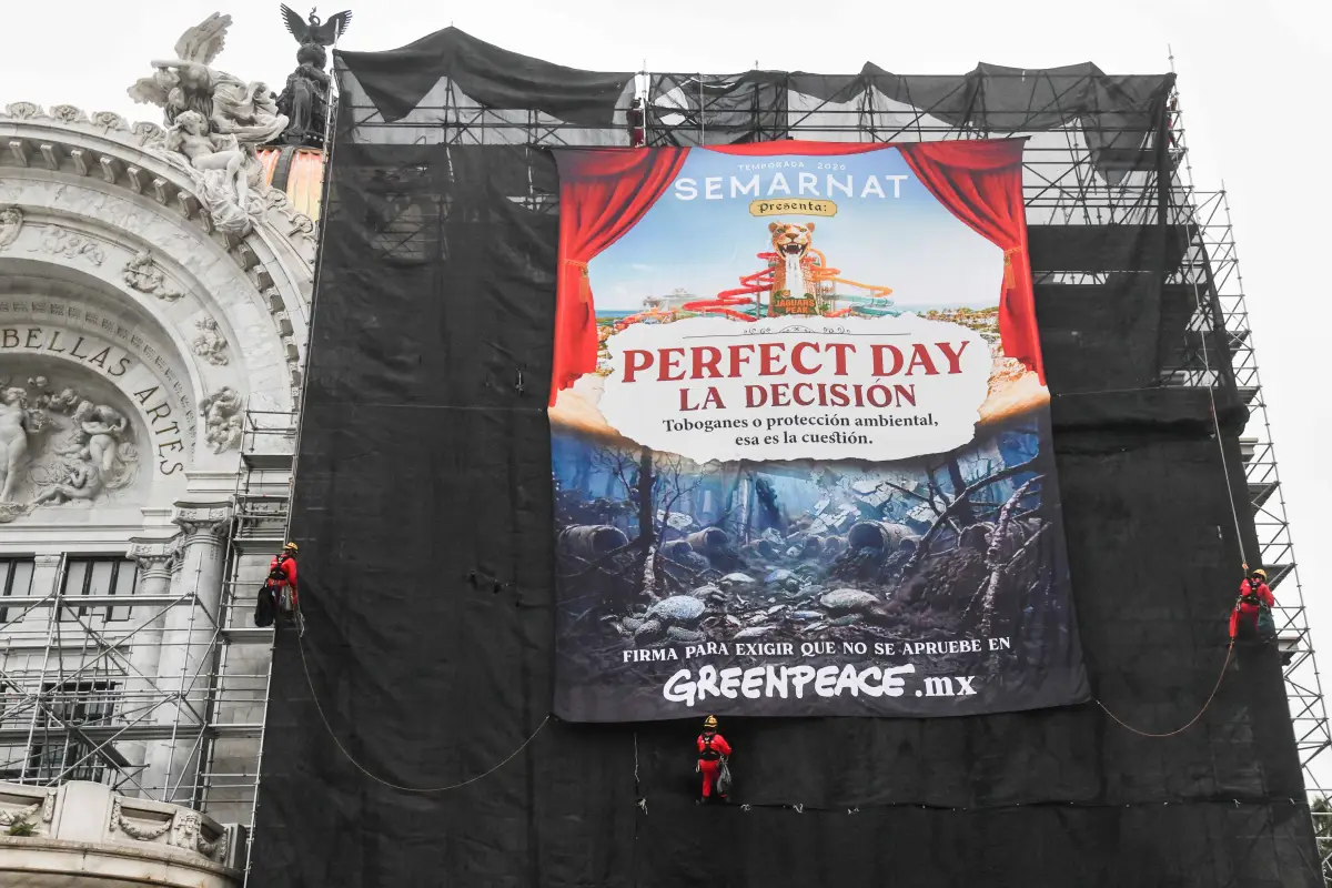 Greenpeace Bellas Artes