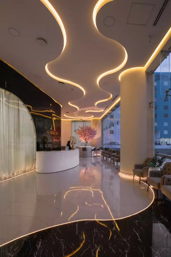 cirugía estética 1