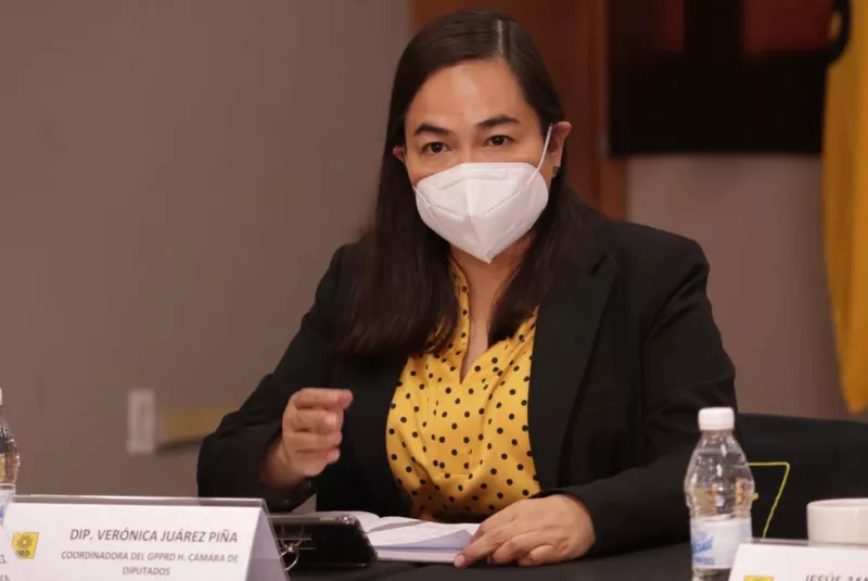 veronica juarez prd.jpg