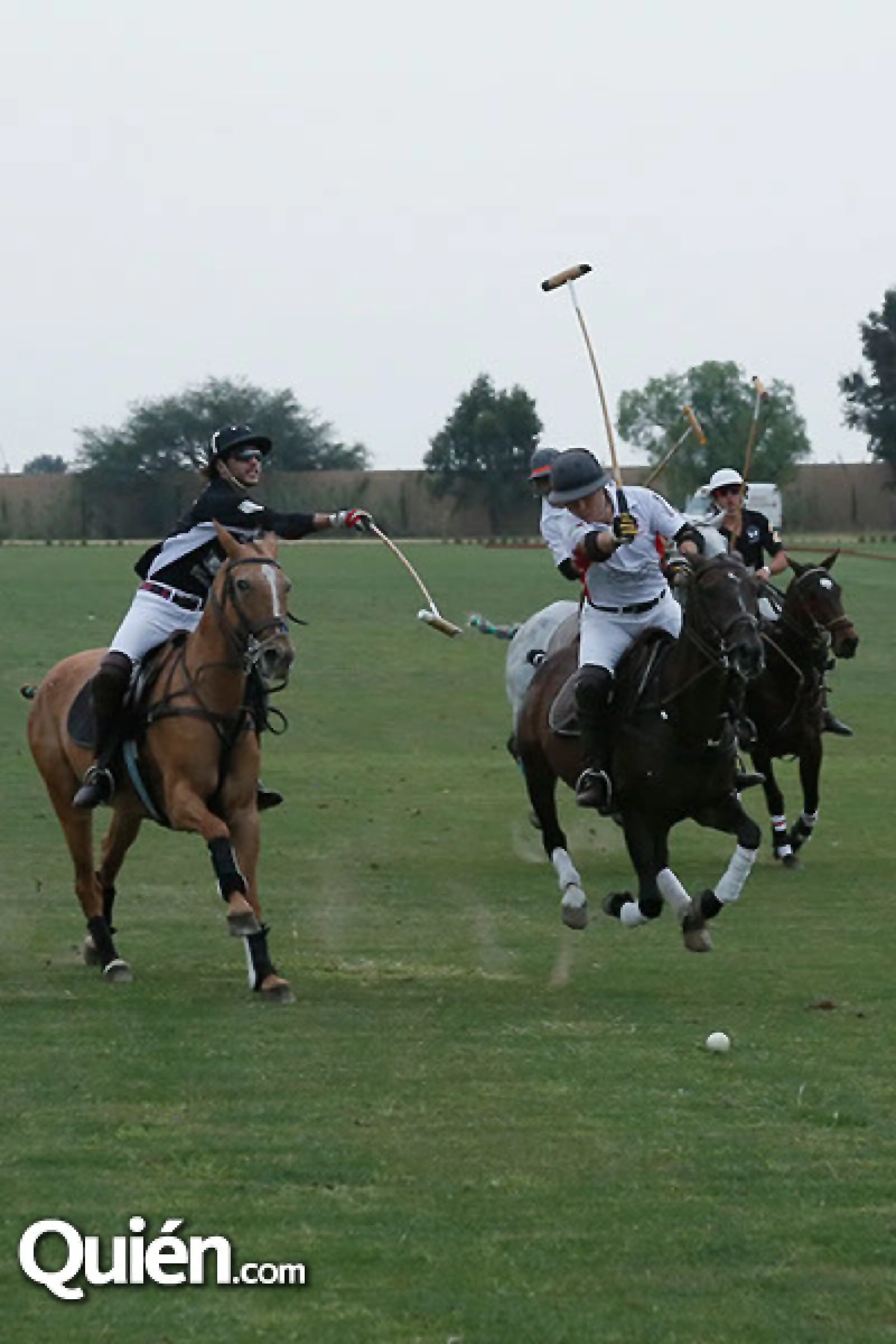 Partido de Polo