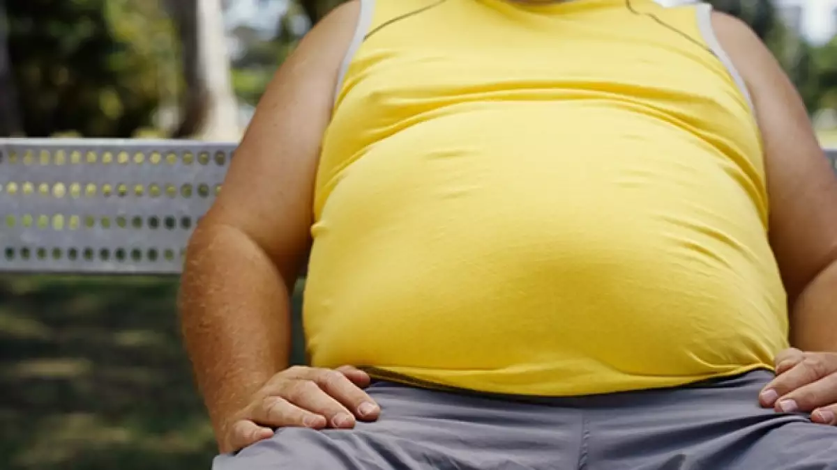 gordo