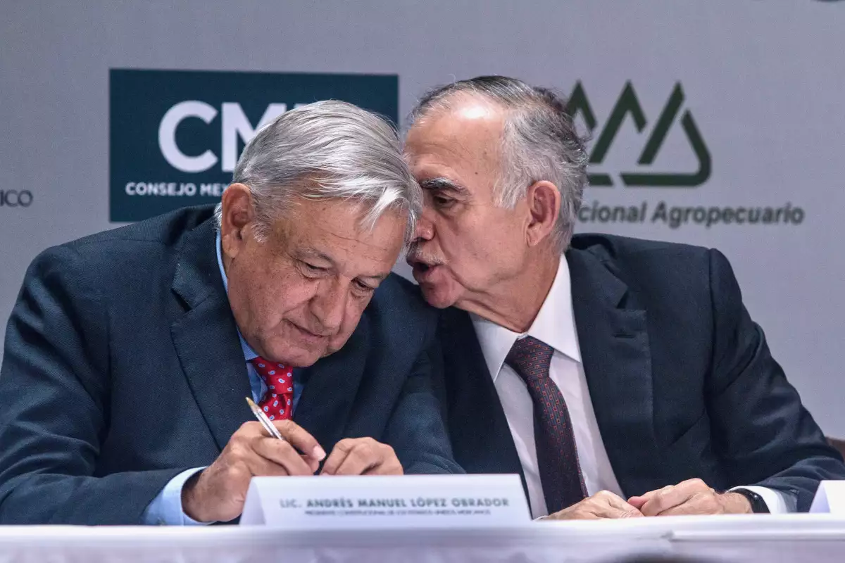 ¿Quién es el dueño de Vector Casa de Bolsa?