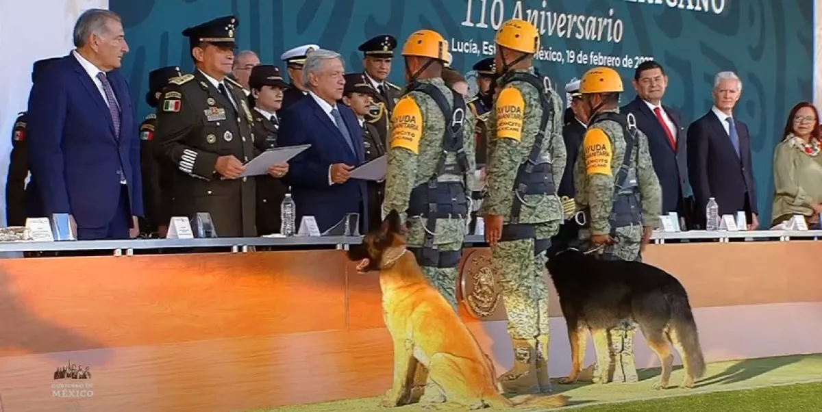 distinción binomios caninos.jpg