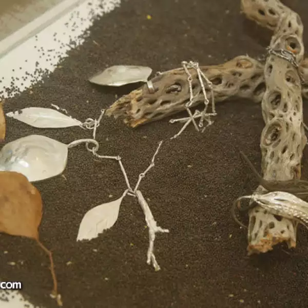 Exposición Alquimia