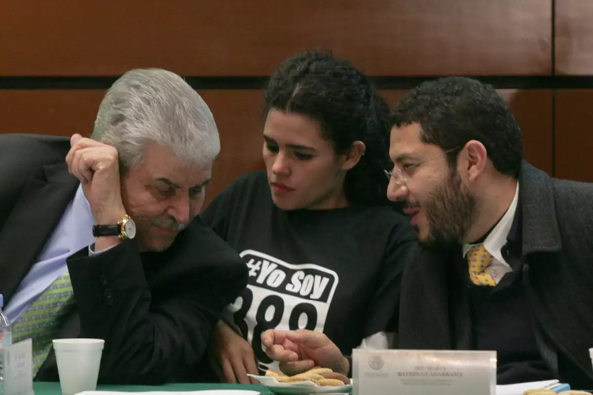 luisa-maria-alcalde-diputada