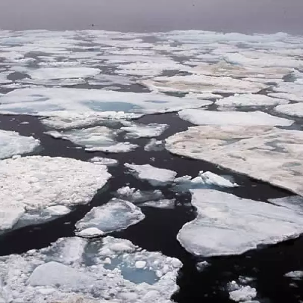 En la Tundra Ártica la fragmentación del hábitat por operaciones industriales y el creciente fenómeno del calentamiento global, están modificando los entornos naturales tal cual como el mostrado en la imagen de arriba.