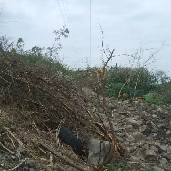 Profepa predio Quer�taro 2