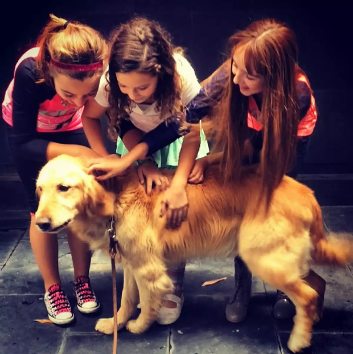 Mía y el elenco infantil de las huerfanitas ya comenzaron los ensayos del musical.