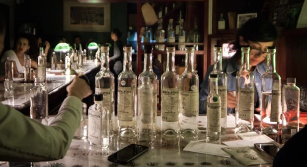 Mezcaloteca