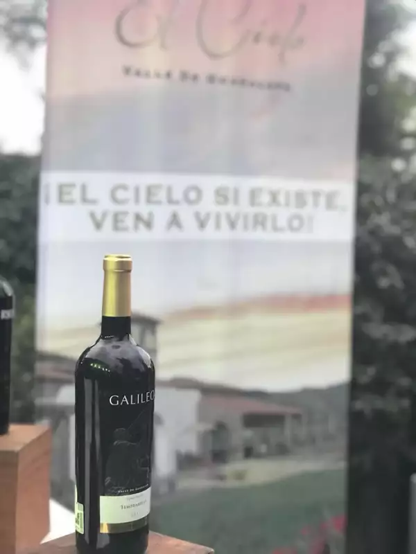 vino