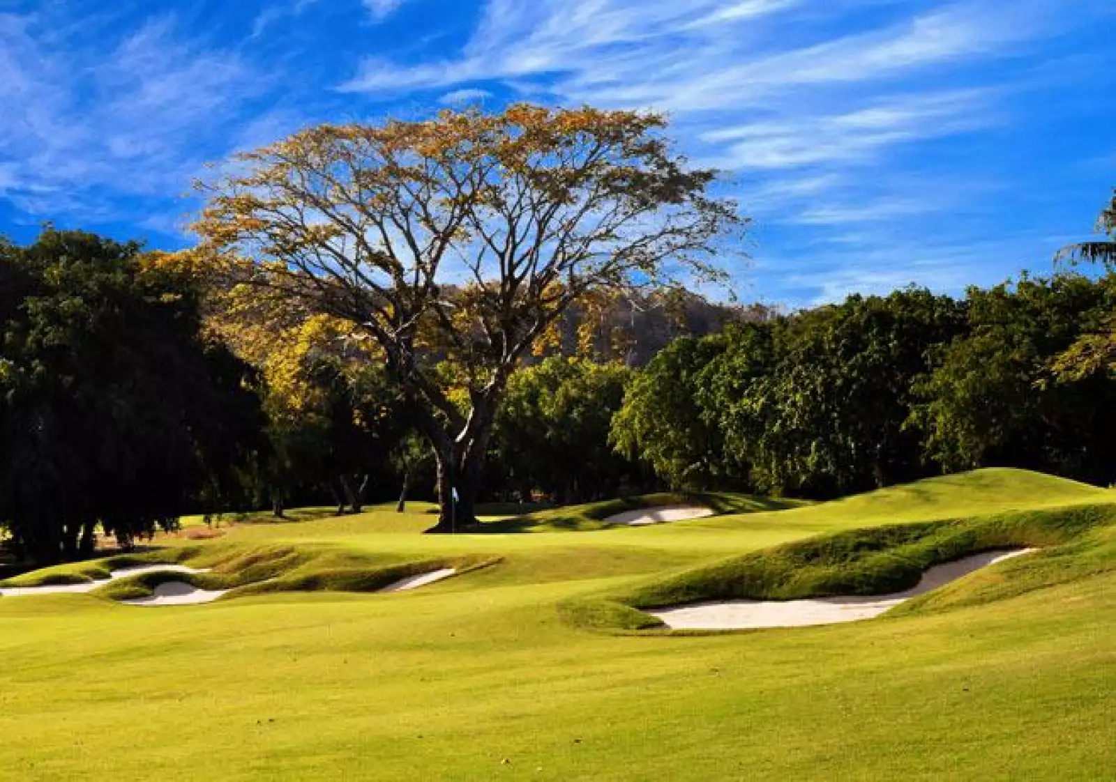 Las Parotas Club de Golf  14