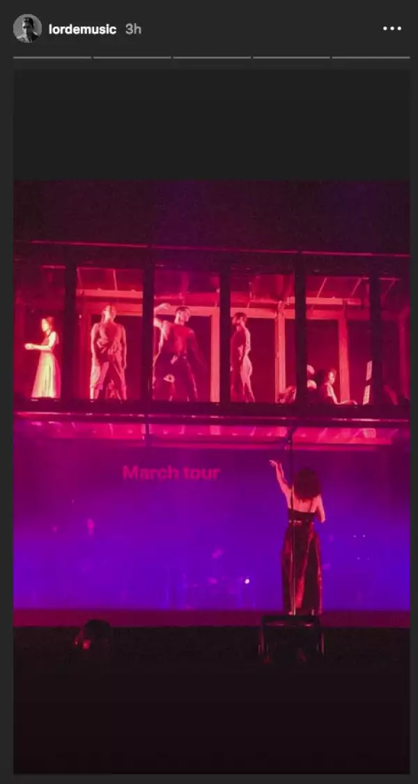 Instagram Stories de Lorde