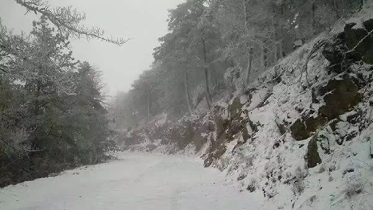 La nevada que cayó este miércoles en Cananea, Sonora, al norte de México