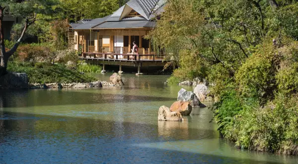 Four Seasons: The Japan Collection