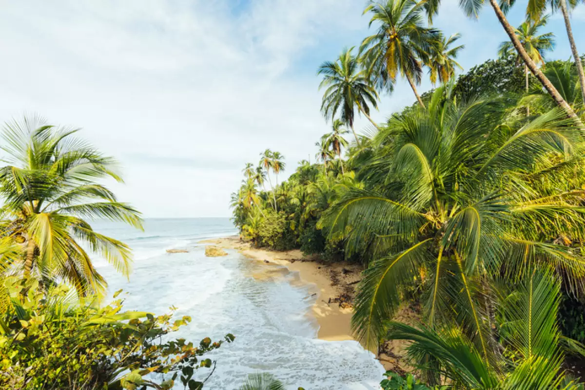 Tropical Paradise Limon Costa Rica Caribbean Beach Travel Destinations