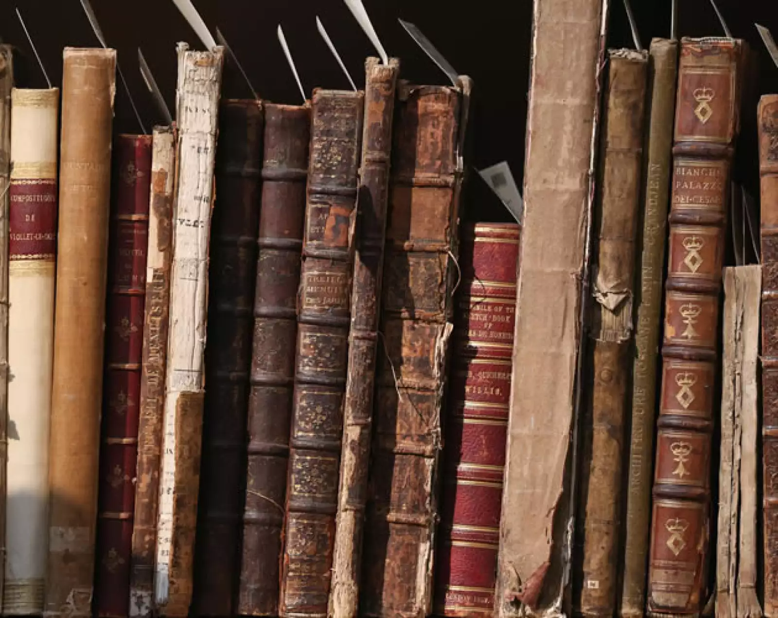 Leer es una de las cosas más divertidas. Es increíble poder meterte en otro mundo, escapar por un momento de la realidad y disfrutar de una buena novela. Pero hay límites. Hay libros que las mujere...