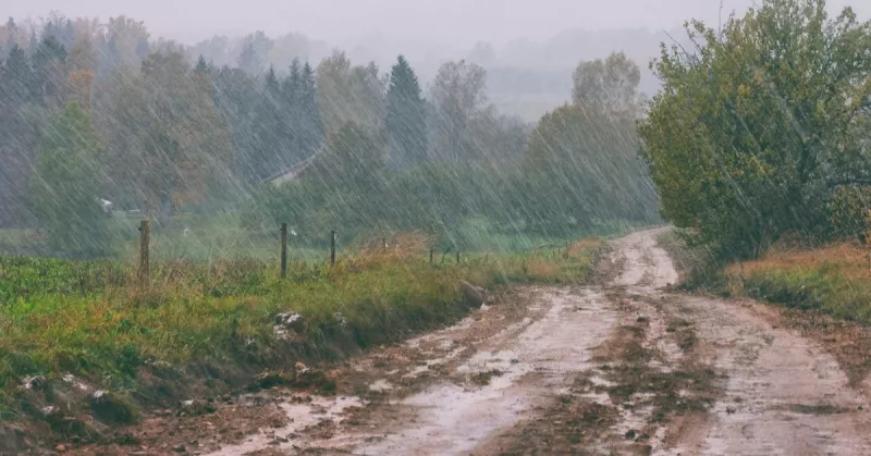 El fenómeno del petricor: ¿por qué huele tan bien cuando llueve?