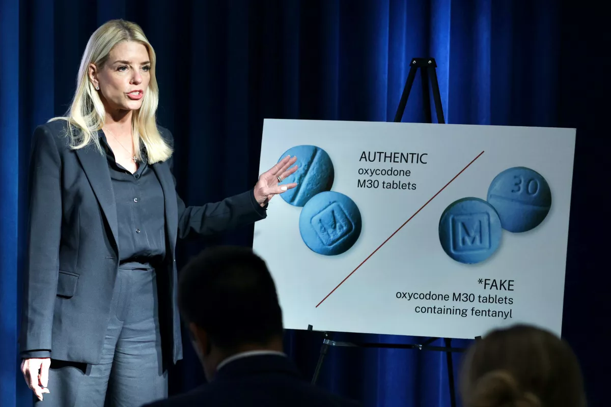 pam bondi