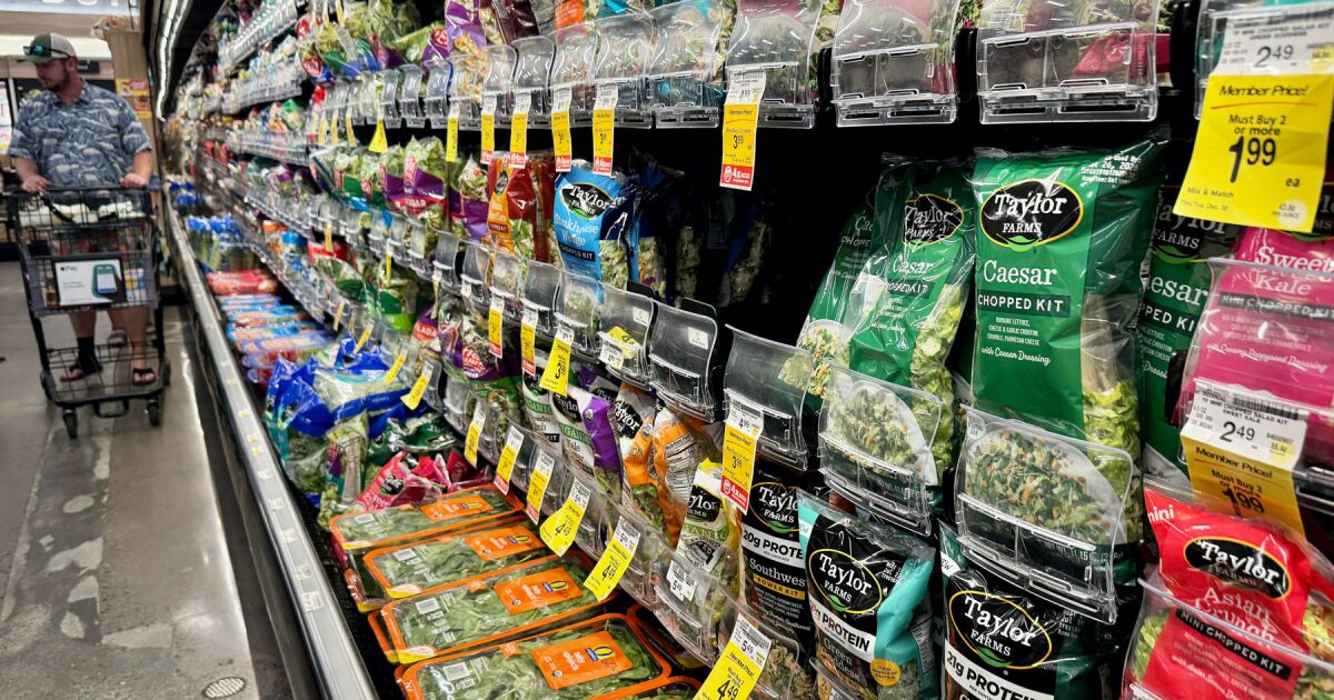 ¡ALERTA FITOSANITARIA! MÉXICO NIEGA PARÁSITO EN LECHUGA; EU INSISTE
