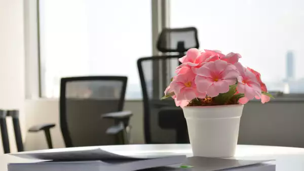 Oficina siempre linda