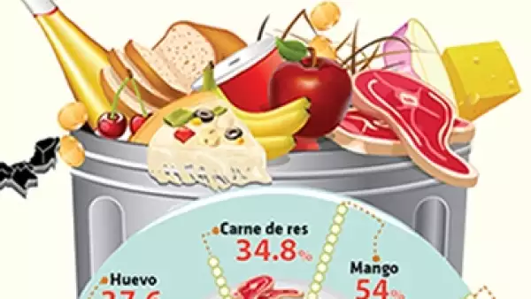 Infograf�a Alimentos