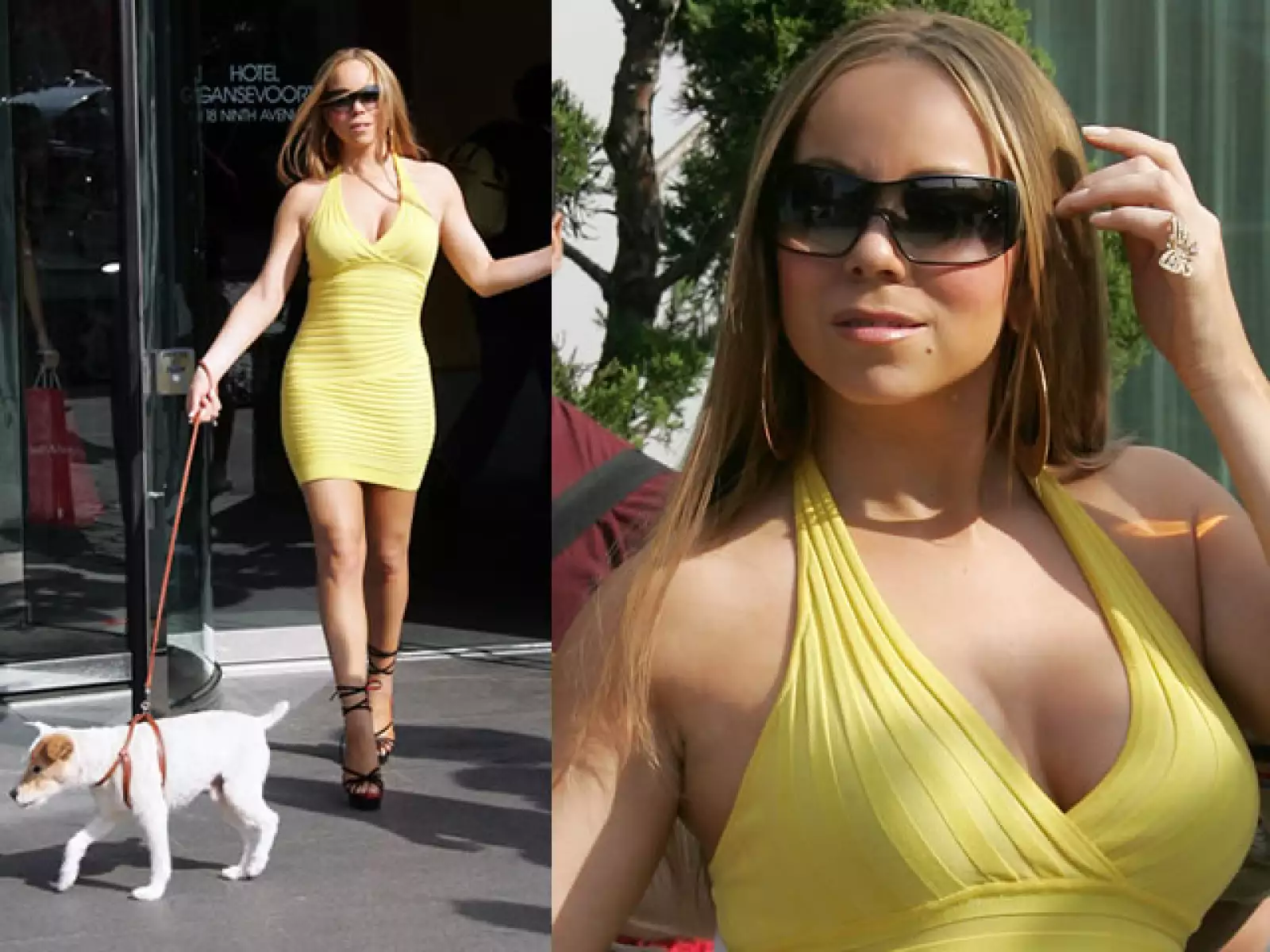Hasta paseando a su perrito la `diva del pop´ siempre luce sexy.