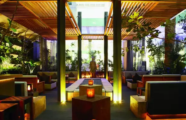 Los ingredientes orgánicos son la clave de su cocina.