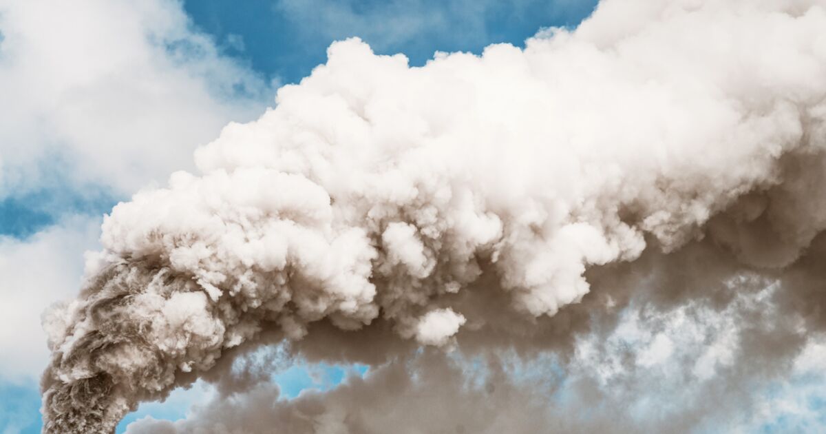CO2 emissions must cease by 2025 for the future to be “viable” CO2 emissions must cease by 2025 for the future to be “viable”