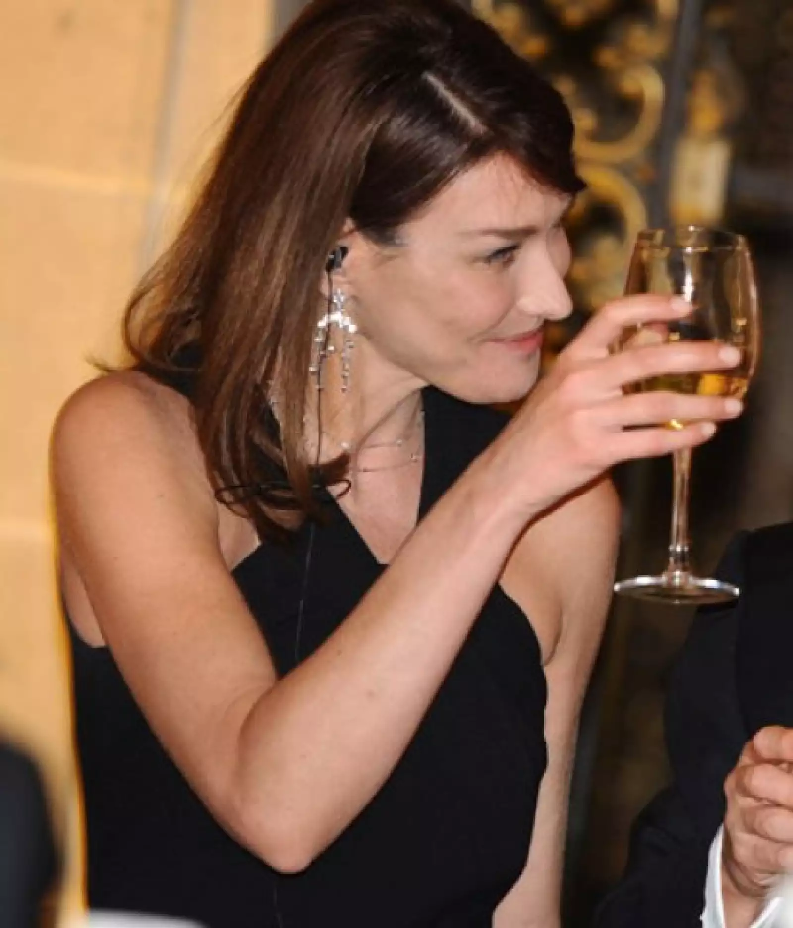 Carla Bruni brindó con los asistentes a la cena y se le vio feliz.