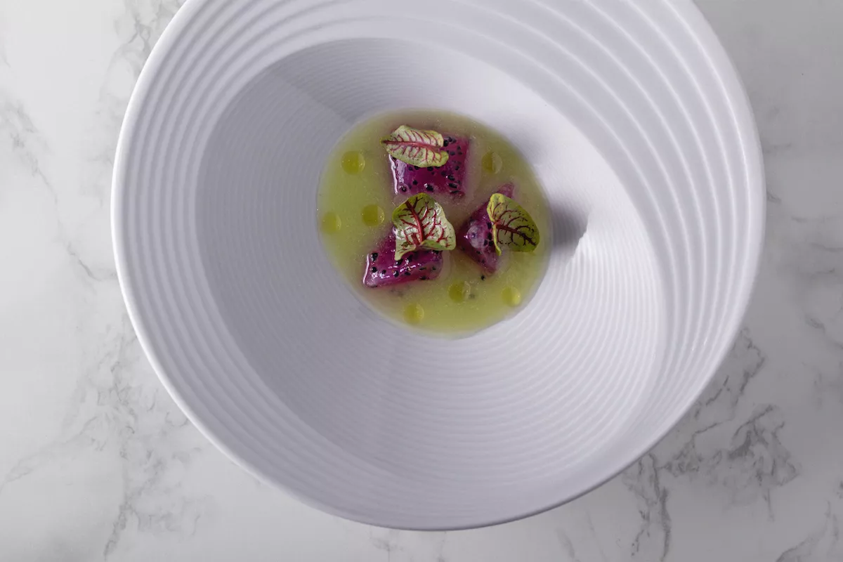 Tunas y pitahayas-lorea.jpg