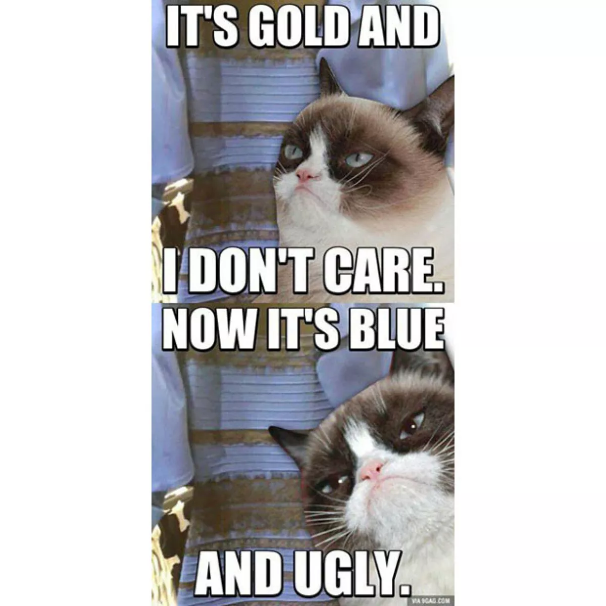 Grumpy Cat también dio su opinión sobre el vestido que en realidad es azul con negro.