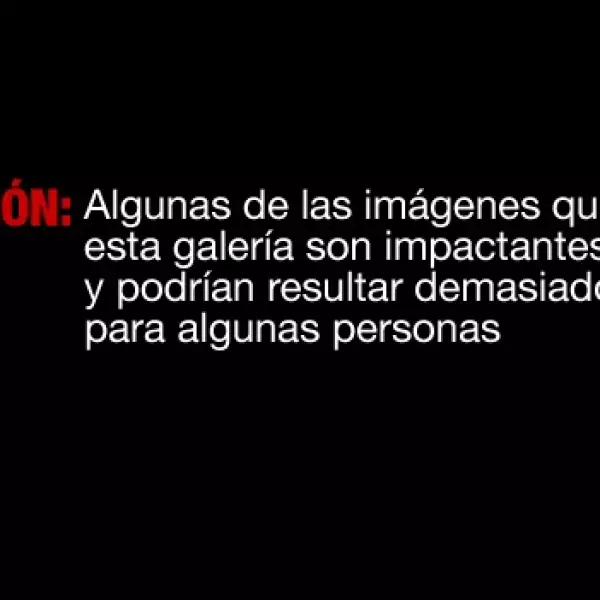 Advertencia - muertos - bin Laden