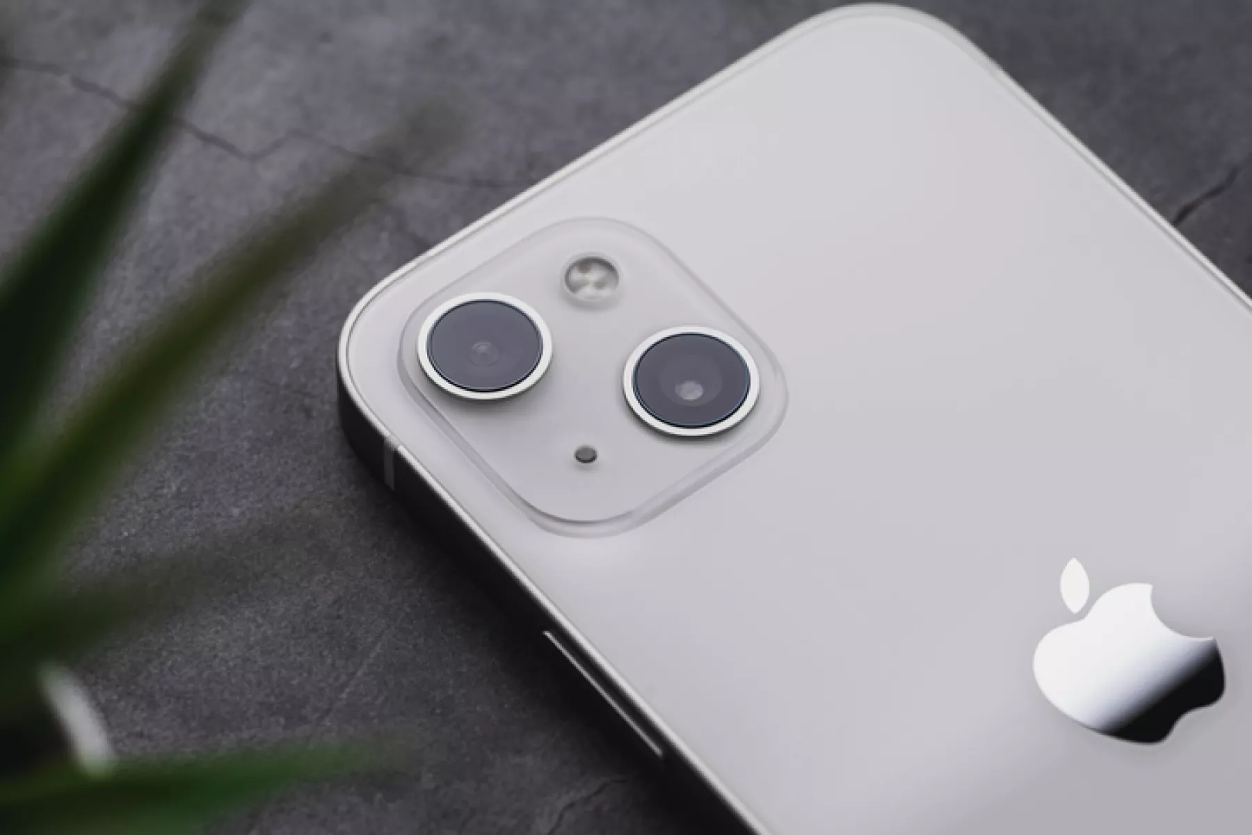 apple equivale a once veces la fortuna de elon musk
