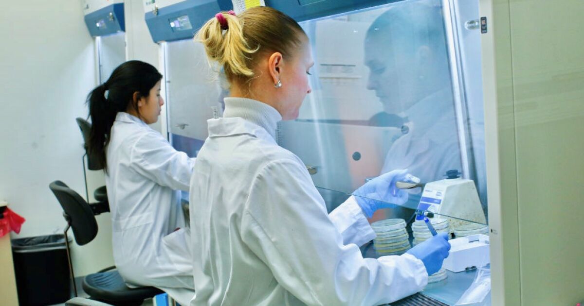 BIOTECNOLOGÍA: EL SECRETO DETRÁS DE TU MAQUILLAJE Y MEDICINAS