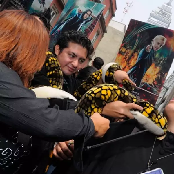 jovenes juegan con una serpiente falsa