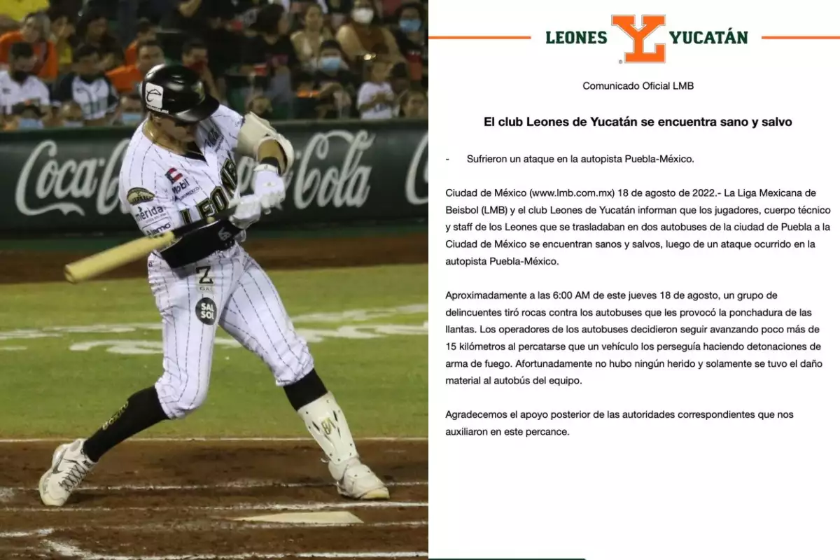 leones yucatán